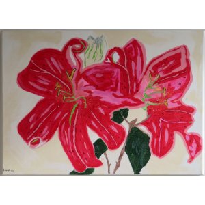 Keilrahmen 50x70cm.
Titel: Amaryllis